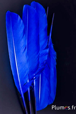 Cygne - 30-33 cm - bleu